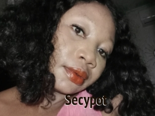 Secypot