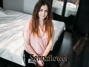 Sennaflower