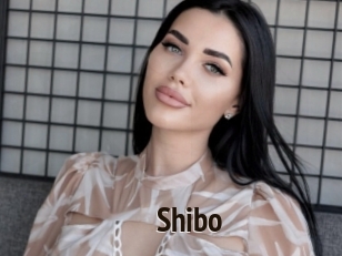Shibo