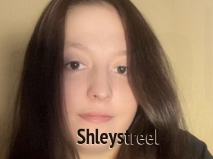 shleystreel Amatrice Blog
