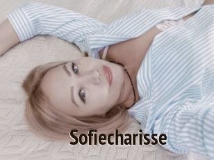 sofiecharisse Amatrice Blog