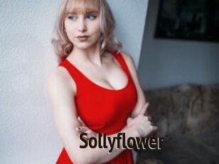 Sollyflower