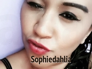 Sophiedahlia