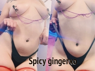 Spicy_gingerxo