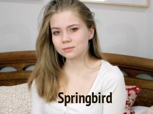 Springbird