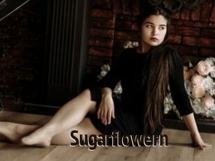 Sugarflowern