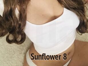 Sunflower_8