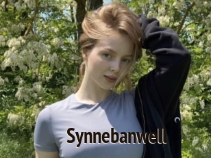 Synnebanwell