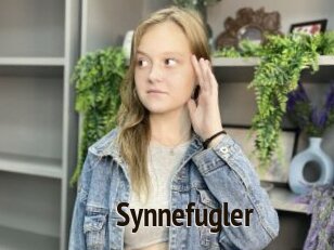 Synnefugler