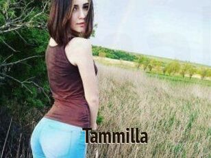 Tammilla_