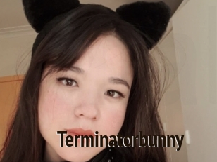 Terminatorbunny