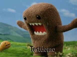 Testdomo