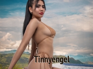 Tinnyengel