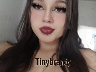 Tinybrandy