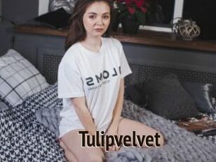 Tulipvelvet