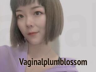 Vaginalplumblossom