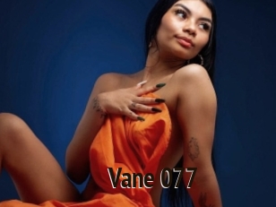 Vane_077