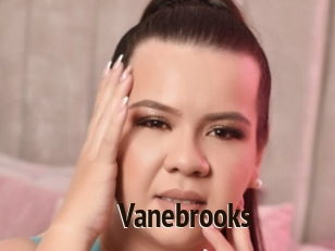 Vanebrooks