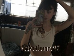 Velvetbunny97