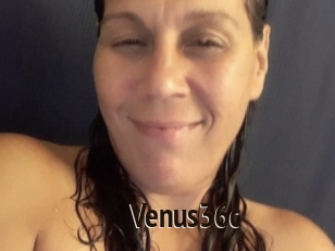 Venus36c