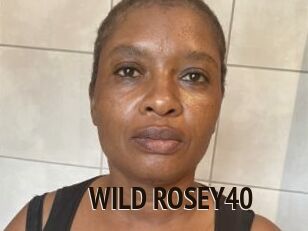 WILD_ROSEY40