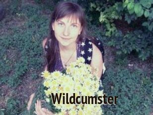 Wildcumster