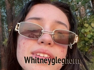 Whitneygleghorn