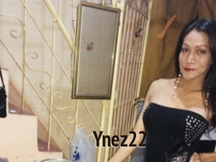 Ynez22