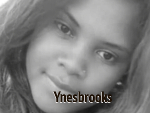 Ynesbrooks