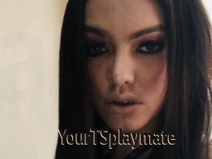 YourTSplaymate