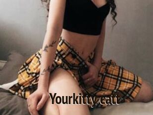 Yourkitty_catt