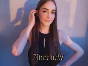 Zinet_new