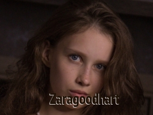 Zaragoodhart