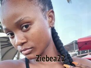 Ziebea22