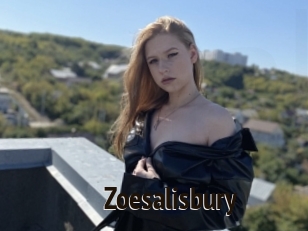 Zoesalisbury